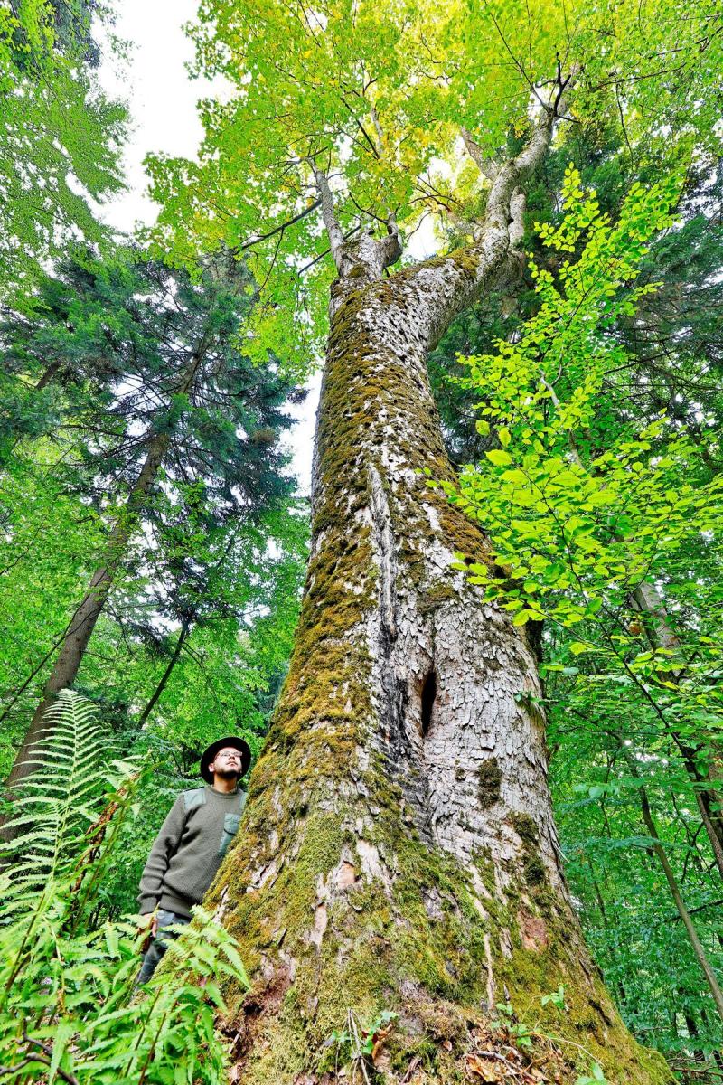 Trwa zacięta batalia o Turnicki Park Narodowy
