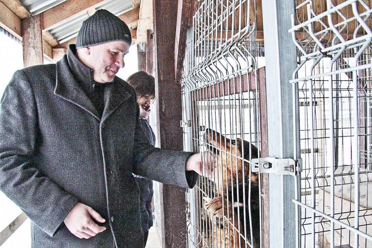 Jak radzą sobie z bezpańskimi psami?