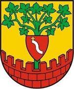 [Wykaz] nieruchomości przeznaczonych do użytkowania wieczystego (Jawornik Polski)