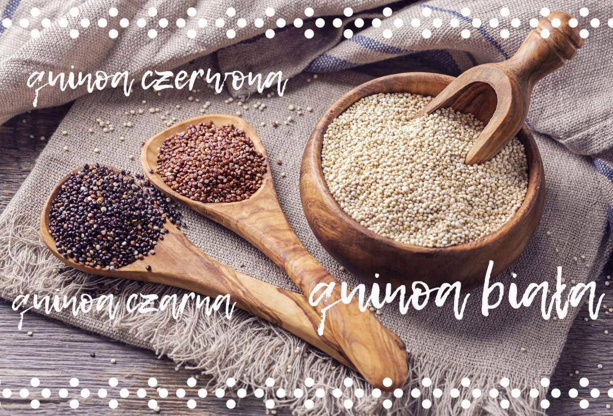 Komosa ryżowa – matka wszystkich ziaren 
