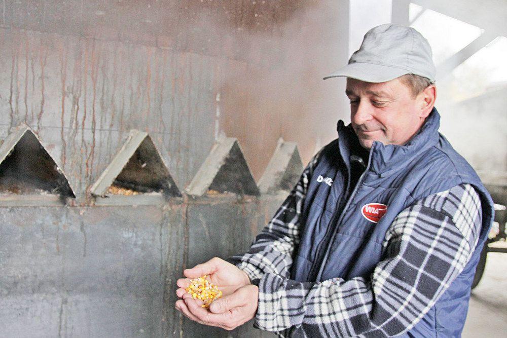 Opady wstrzymują kukurydziane żniwa