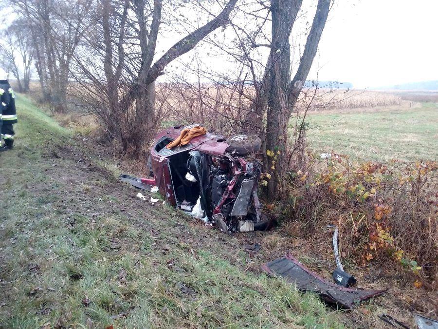Honda uderzyła w drzewo i dachowała [ZDJĘCIA]