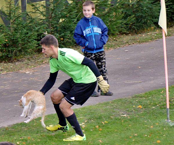 W derbach powiatu górą Piast. W pojedynku „sokołów” lepszy ten z Sieniawy