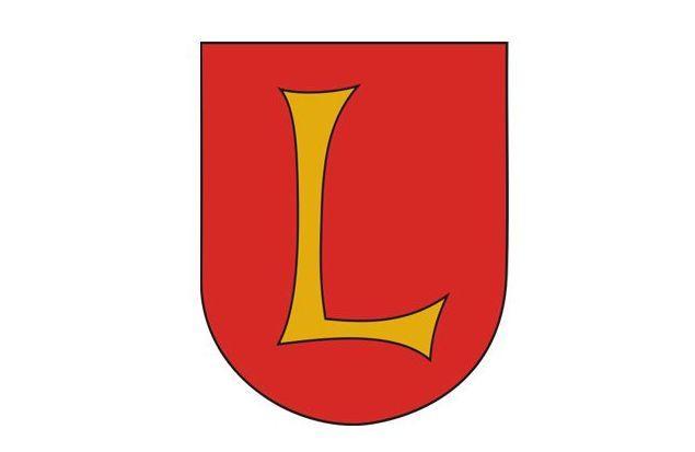 [Wyciąg] z ogłoszenia o przetargu ustnym nieograniczonym na sprzedaż nieruchomości (Lubaczów)