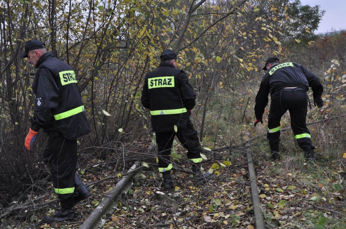 Rozpoczęła się Siekierezada Kolejowa [GALERIA]