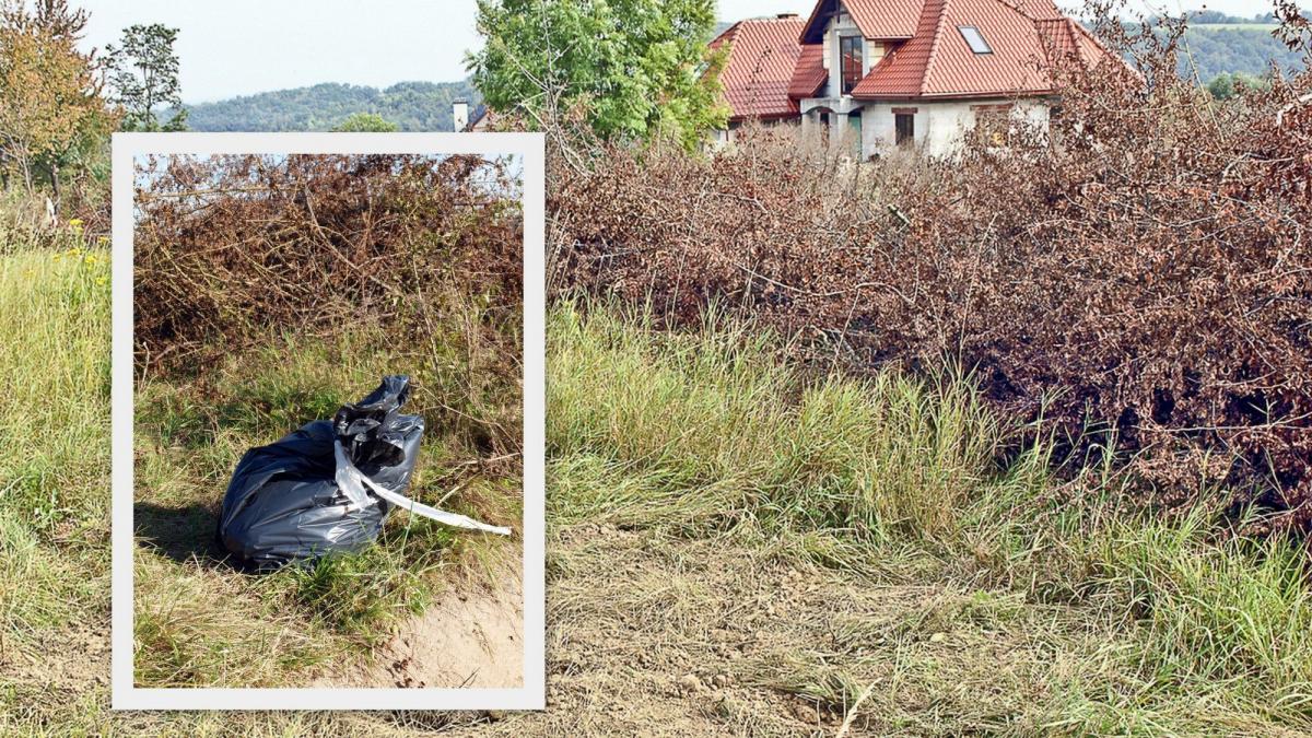Urzędnicy zakopali cuchnące truchło nieopodal domostw