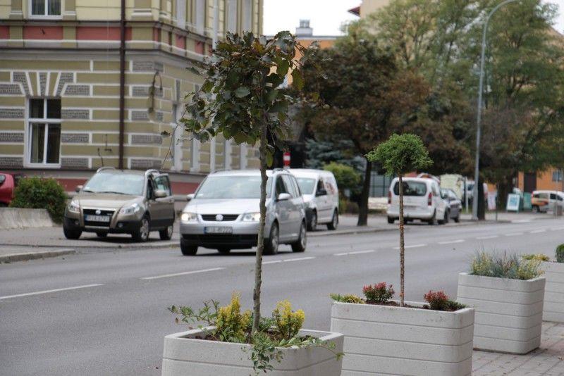 Nowe nasadzenia w Jarosławiu