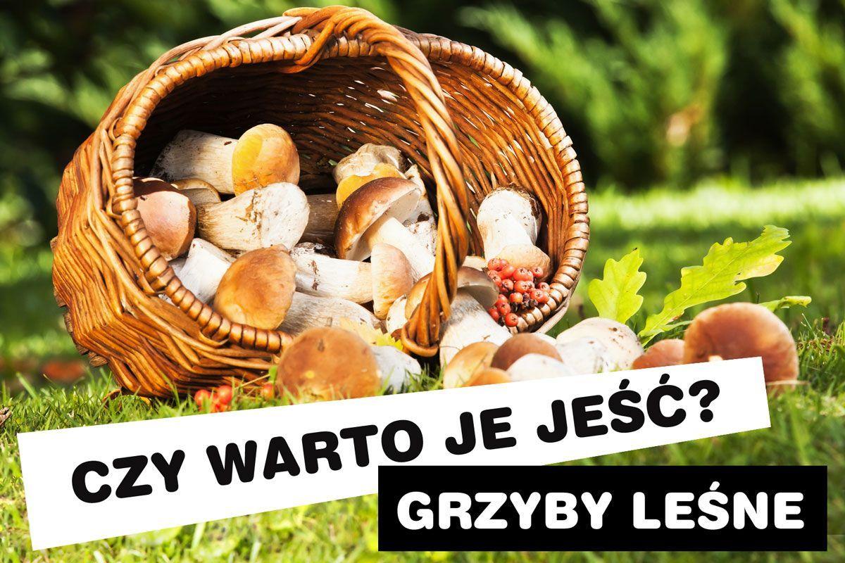 Grzyby – czy warto je jeść?