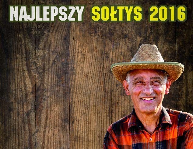 Wielki finał plebiscytu
