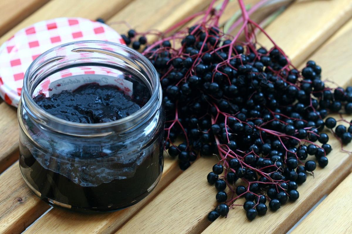 Syrop z owoców czarnego bzu