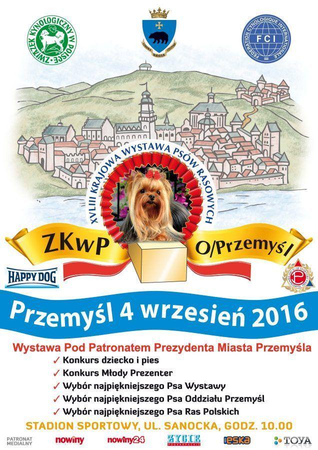Wystawa Psów Rasowych w Przemyślu [WYGRAJ WEJŚCIÓWKĘ]