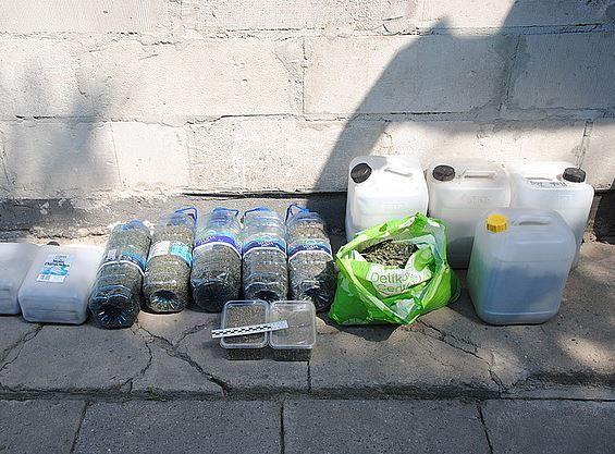 6,5 kilograma marychy