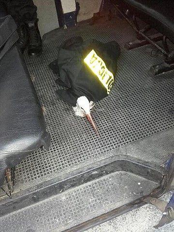 Policjanci uratowali rannego bociana