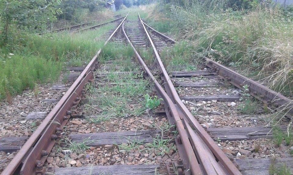 Walczą o uruchomienie połączenia kolejowego w Bieszczady