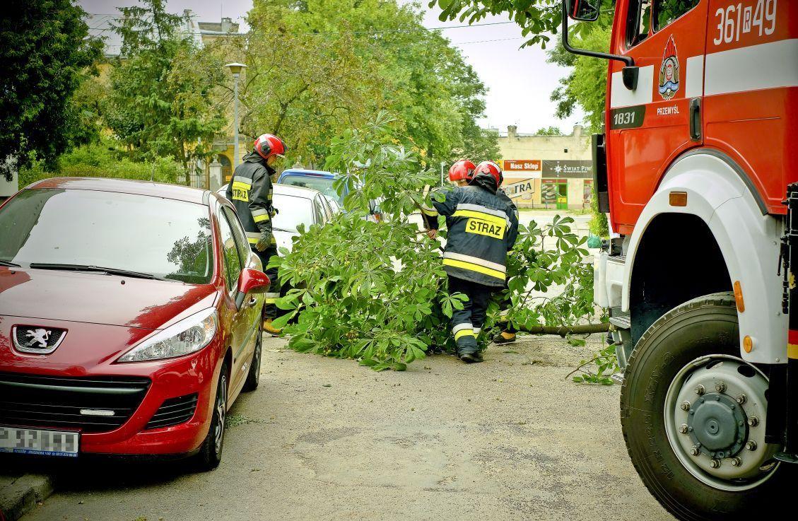 Konar upadł na auto