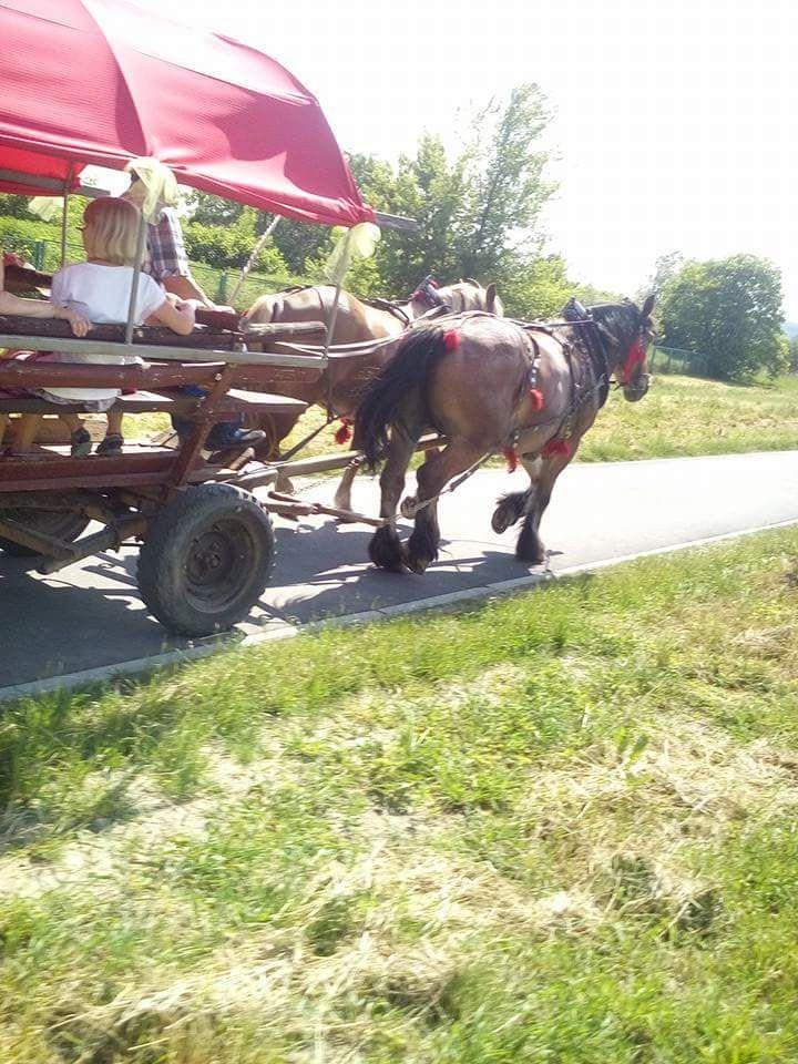 Furmanką po ścieżce rowerowej!