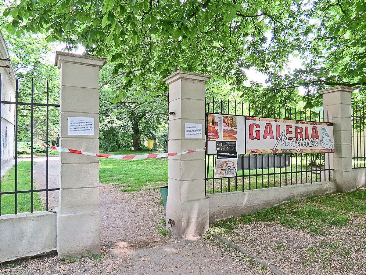 Padłe ptaki w parku. Powiatowy inspektor weterynarii bada sprawę [AKTUALIZACJA]