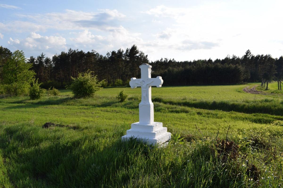 Kamienne krzyże znakiem rozpoznawczym ziemi lubaczowskiej