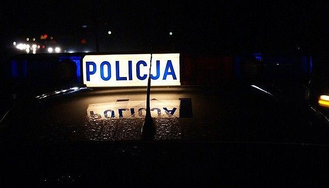 Sarna na drodze, zderzenie aut i dachowanie