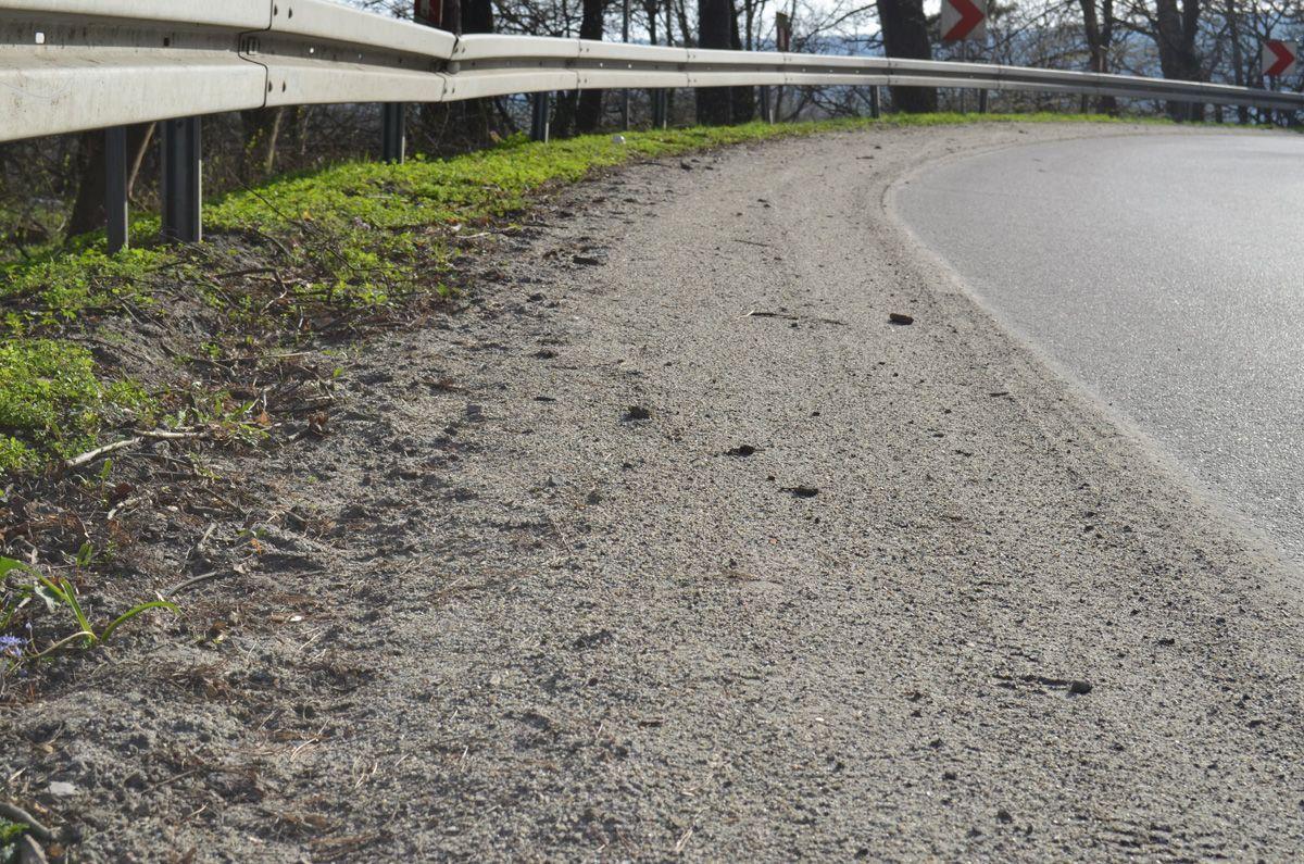 Rowerzyści domagają się wiosennych porządków na drogach