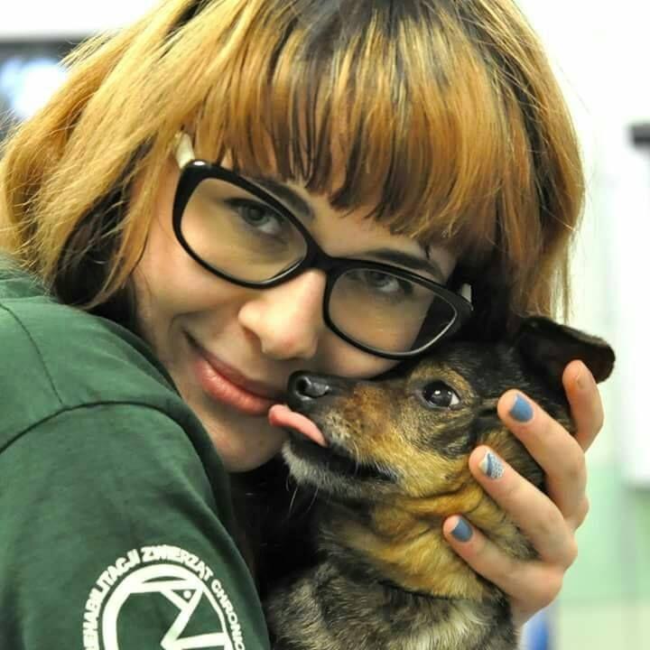 Adoptuj przyjaciela w Galerii Sanowa