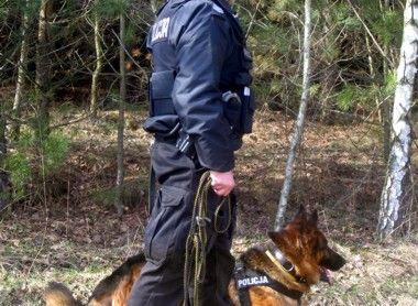 Policjanci poszukiwali nieletniego