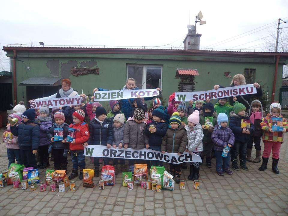 Przedszkolaki dla schroniska