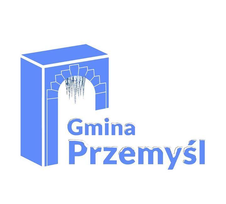 [Wykaz] nieruchomości gruntowych do sprzedaży (Krówniki, Pikulice) 