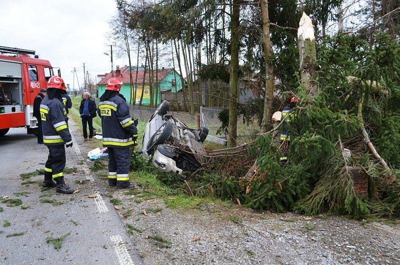 Kierowca wypadł z drogi, ściął drzewo i zniszczył ogrodzenie