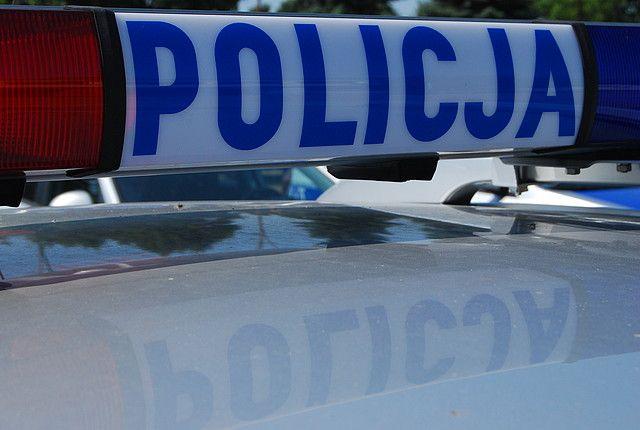 54-latek ukradł... owcę z pastwiska