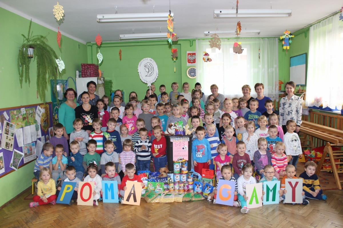 Przedszkolaki pomagają bezdomnym zwierzętom