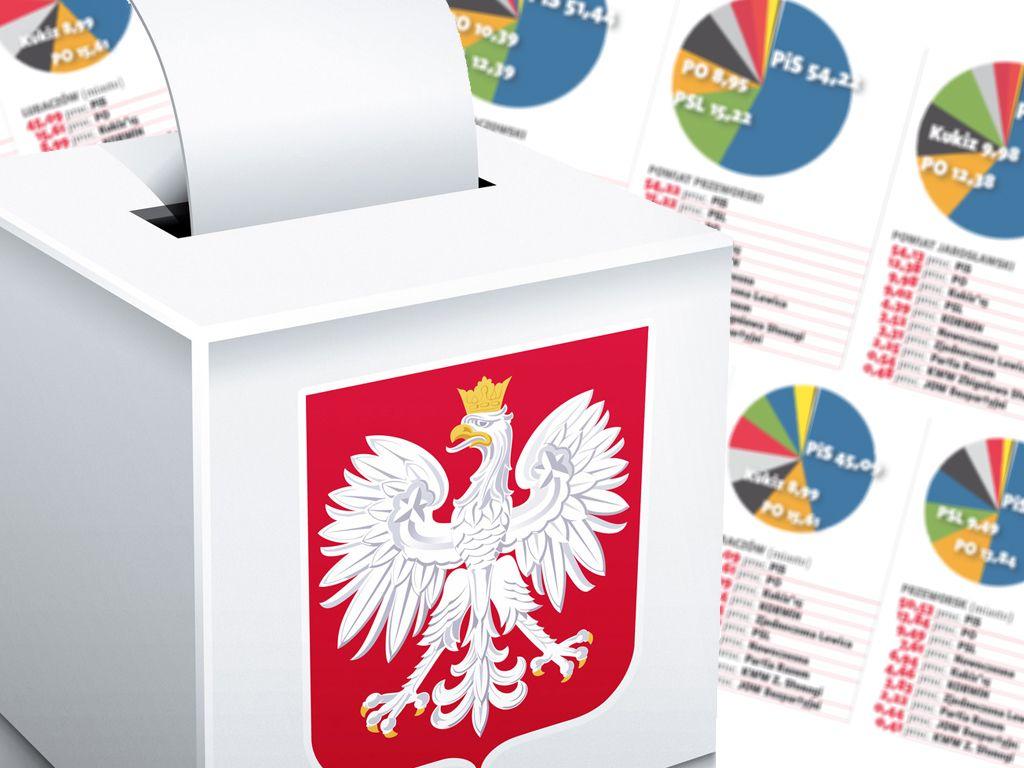 Tak głosowaliśmy w miastach, gminach i powiatach [GALERIA WYNIKÓW]