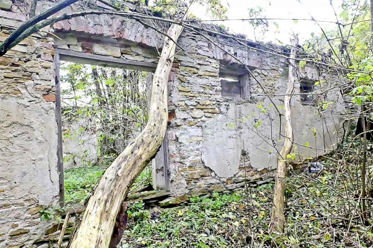 Kto w czasie wojny wydał dwadzieścia pięć osób na śmierć?
