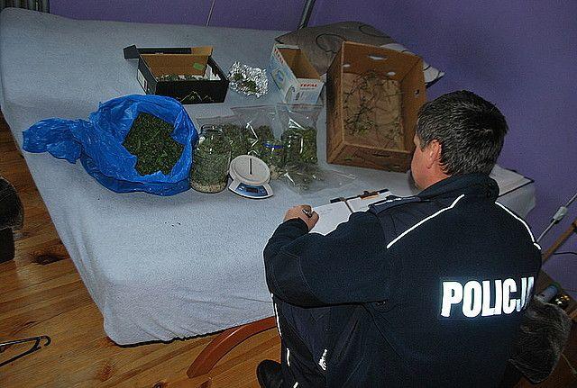 U 25-latka znaleziono 3 kg marihuany. Wpadł podczas rutynowej kontroli drogowej