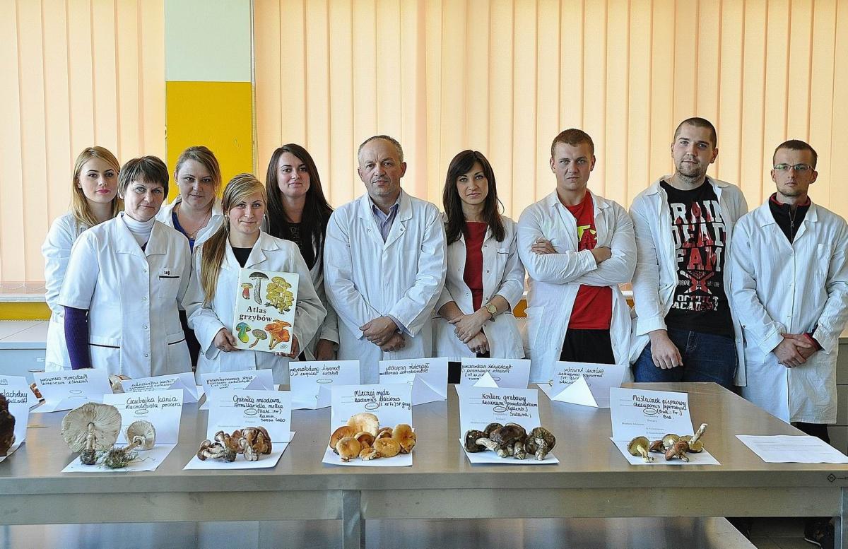 Poznaj właściwości zdrowotne grzybów [GALERIA]