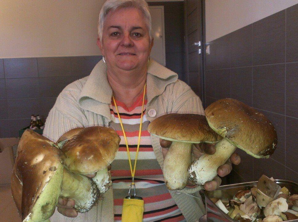 Jesień jest dla grzybiarzy łaskawa. Gigantyczne prawdziwki pani Marii