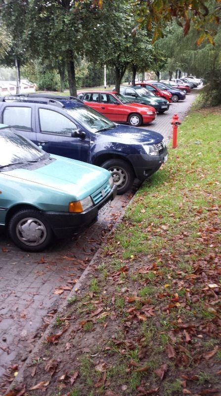 Kierowcy pozbawieni wyobraźni