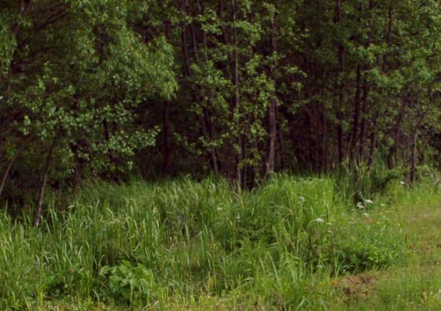 Dzień Papieski na szlaku w Bieszczadach