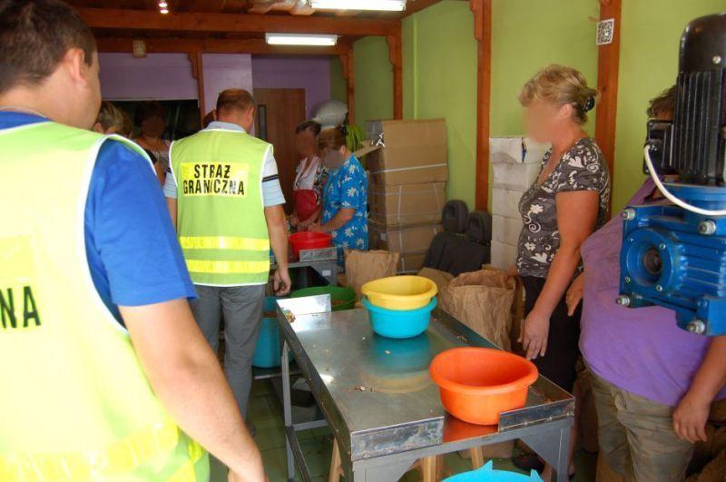 9 Ukrainek pracowało na czarno w centrum handlowym w Medyce [ZDJĘCIA]