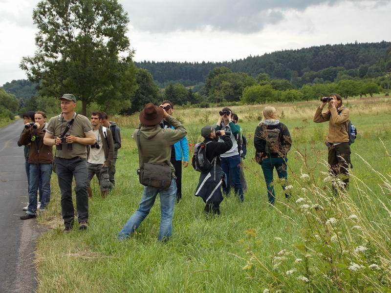 W poszukiwaniu orlika krzykliwego