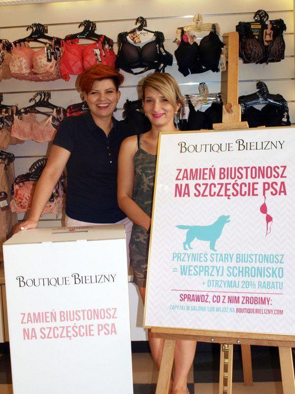 Przynieś... biustonosz, pomóż bezdomnym psom