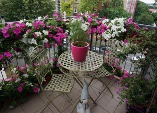 Konkurs na najładniejszy ogródek i balkon 
