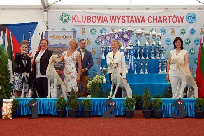 Zwycięskie charty z Przeworska 