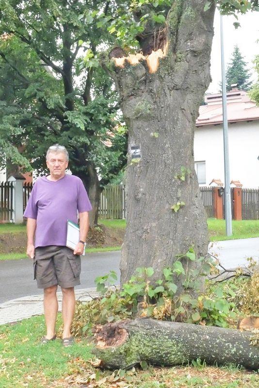 Wiatr skuteczniejszy od urzędów
