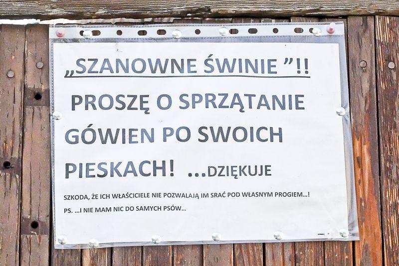 Okiem czepialskiego: Apel do właścicieli czworonogów