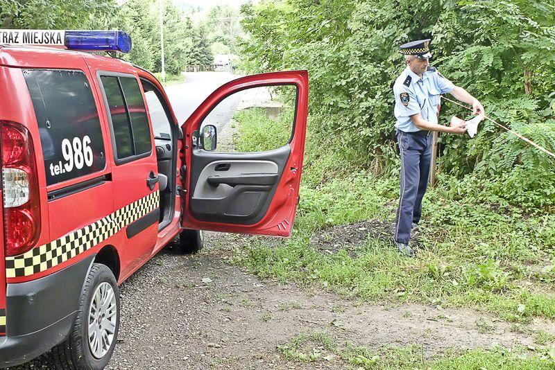 Barszcz Sosnowskiego w Przemyślu. Kto go usunie?