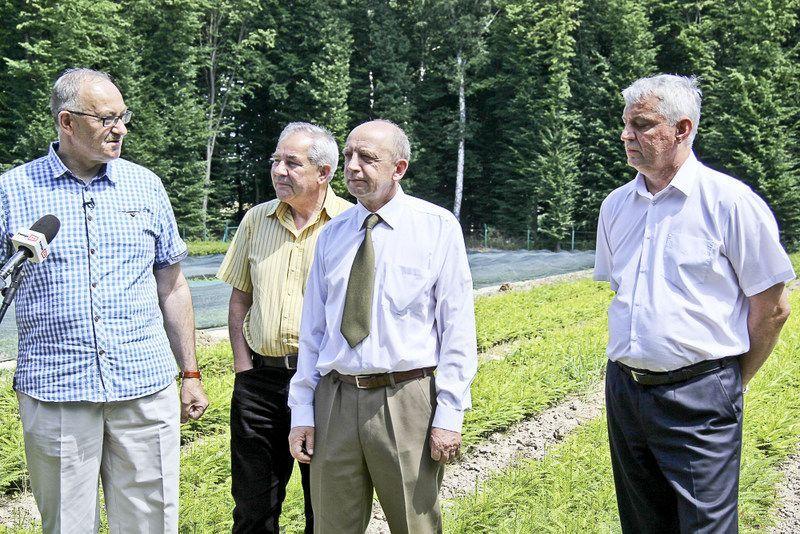 Prywatyzacja lasów to tylko straszak polityków PiS
