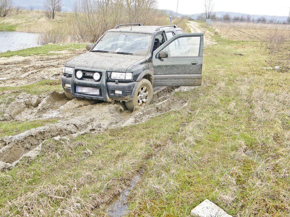 Na działkę po grzęzawisku