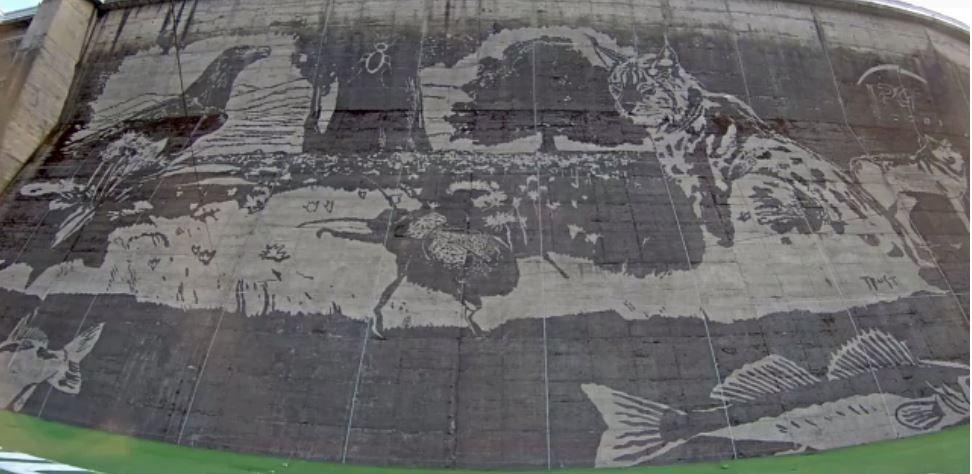Największy na świecie ekologiczny mural powstał na Solinie! [WIDEO]