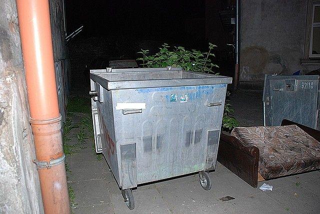 Ktoś wyrzucił nowo narodzone kocięta w plastikowym worku ze śmieciami